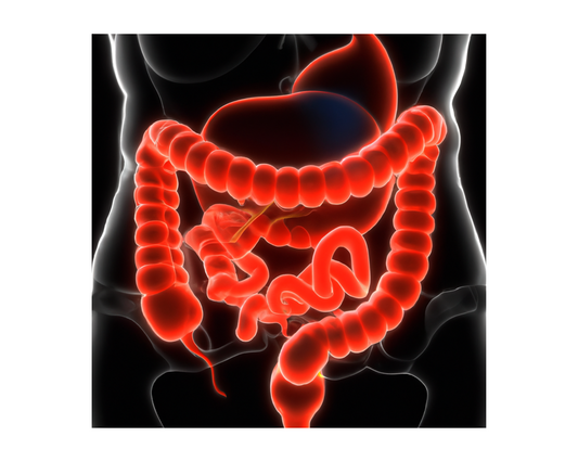 Leaky Gut: The Hidden Cause of Your Health Problems (and How to Heal It Naturally)